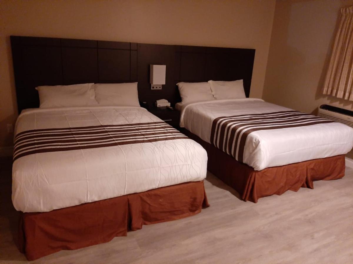 Silver Maple Motel ฮาลีเบอร์ตัน ภายนอก รูปภาพ