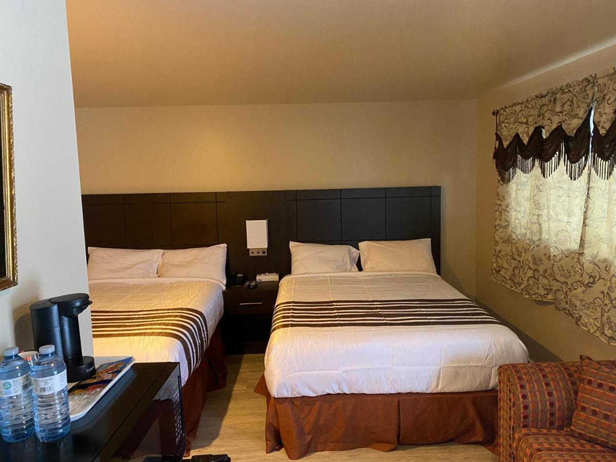 Silver Maple Motel ฮาลีเบอร์ตัน ภายนอก รูปภาพ